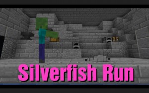 下载 Silverfish Run 对于 Minecraft 1.13.1