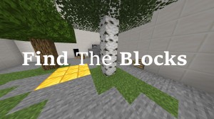 下载 Find The Blocks 对于 Minecraft 1.14.4