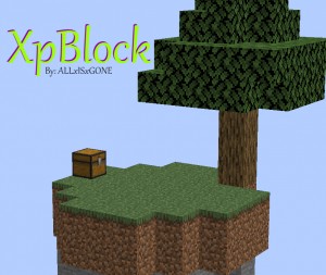 下载 XpBlock 对于 Minecraft 1.14.4