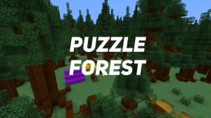 下载 Puzzle Forest 对于 Minecraft 1.16.5