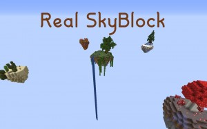 下载 Real SkyBlock 对于 Minecraft 1.16.5