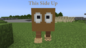 下载 This Side Up 1.0 对于 Minecraft 1.18.2