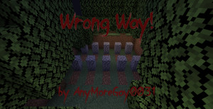 下载 Wrong Way 1.0 对于 Minecraft 1.18.2