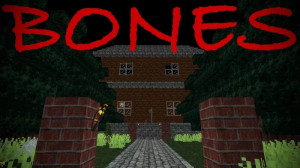 下载 Bones 对于 Minecraft 1.20.6