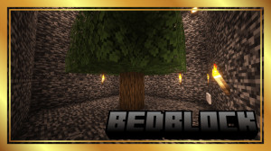 下载 BedBlock 对于 Minecraft 1.21.5